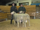 Fleischsieger: P 7127 (FS) - K 295 (FRS)  