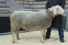 Kat2: DE 0109 9 678 0820 SI, W8/B8/AE8, Gewicht 160 kg