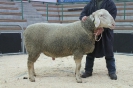Kat 13: DE 0109 9 199 0300 KR, W8/B8/ÄE8, Gewicht 165 kg