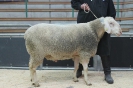 Kat 16: DE 0109 9 648 0756 FR, W7/B8/ÄE8, Gewicht 145 kg