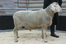 Kat 20: DE 0109 9 648 0761 FR, W8/B9/ÄE8, Gewicht 159 kg
