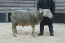 Kat 23-int.Res.: DE 0109 9 568 0485 RL, W8/B7/ÄE7, Gewicht 138 kg
