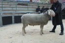Kat 27: DE 0109 9 176 0500 S, W7/B8/ÄE8, Gewicht 154 kg
