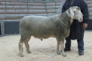 Kat 29: DE 0109 9 678 0833 SI, W8/B9/AE8, Gewicht 170 kg