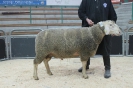 Kat 31: DE 0109 9 648 0776 FR, W8/B9/ÄE7, Gewicht 157 kg