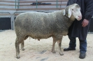 Kat 32: DE 0109 9 770 0362 F, W8/B8/ÄE7, Gewicht 138 kg