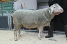 Kat 33: DE 0109 9 770 0361 F, W8/B8/ÄE7, Gewicht 160 kg