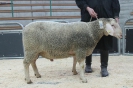 Kat 34: DE 0109 9 648 0759 FR, W7/B9/ÄE7, Gewicht 158 kg