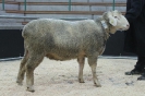 Kat 42: DE 0109 9 761 0140 OB, W7/B8/ÄE7, Gewicht 138 kg