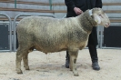 Kat 43: DE 0109 9 648 0773 FR, W8/B8/ÄE8, Gewicht 137 kg