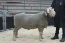 Kat 45: DE 0109 9 176 0562 S, W7/B8/ÄE8, Gewicht 127 kg