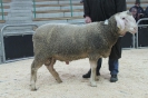 Kat 47-int.Res.: DE 0109 9 199 0388 KR, W8/B8/ÄE7, Gewicht 137 kg