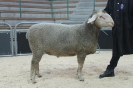 Kat 54: DE 0109 9 176 0499 S, W8/B8/ÄE7, Gewicht 133 kg
