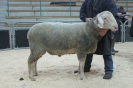 Kat 55: DE 0109 9 678 0843 SI, W8/B8/ÄE7, Gewicht 129 kg