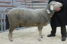 Kat 56: DE 0109 9 770 0376 F, W7/B8/ÄE8, Gewicht 130 kg