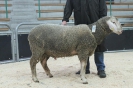 Kat 58: DE 0109 9 199 0387 KR, W8/B7/ÄE7, Gewicht 120 kg