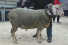 Kat 62: DE 0109 9 199 0384 KR, W8/B8/ÄE7, Gewicht 119 kg