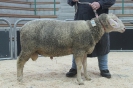Kat 64-2.Res.: DE 0109 9 761 0142 OB, W8/B7/ÄE7, Gewicht 120 kg
