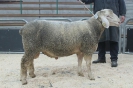 Kat 66: DE 0109 9 471 0533 K, W7/B9/ÄE8, Gewicht 132 kg