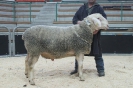 Kat 67: DE 0109 9 471 0525 K, W7/B8/ÄE8, Gewicht 150 kg