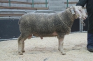 Kat 71: DE 0109 9 471 0535 K, W7/B8/ÄE7, Gewicht 126 kg