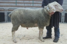 Kat 79-4.Res.: DE 0109 9 678 0856 SI, W7/B7/ÄE8, Gewicht 117 kg