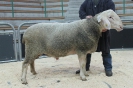 Kat 9-3.Res.: DE 0109 9 678 0826 SI, W8/B7/ÄE7, Gewicht 163 kg