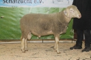 Kat26: DE 0109 9 568 0623 RL, geb. 02.04.2015, W8/B8/AE7, Gewicht 136 kg