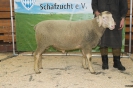Kat3: DE 0109 9 648 0926 FR, geb.16.01.2014, W8/B8/AE7, Gewicht 153 kg