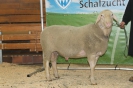 Kat32-2.Res.: DE 0109 9 272 0764 RR, geb. 11.04.2014, W8/B8/AE7, Gewicht 139 kg