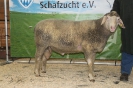 Kat35: DE 0109 9 471 0655 K, geb. 27.04.2014, W8/B8/AE7, Gewicht 150 kg