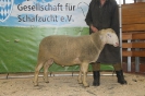 Kat36: DE 0109 9 648 0942 FR, geb. 05.05.2014, W8/B9/AE7, Gewicht 144 kg