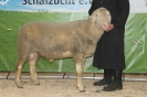 Kat4: DE 0109 9 568 0505 RL, geb. 20.01.2014, W8/B8/AE8, Gewicht 147 kg