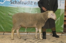 Kat41: DE 0109 9 648 0923 FR, geb. 18.05.2014, W8/B8/AE7, Gewicht 130 kg