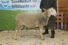 Kat46: DE 0109 9 648 0921 FR, geb. 30.05.2014, W7/B8/AE7, Gewicht 156 kg