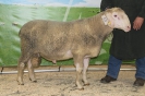 Kat49: DE 0109 9 471 0656 K, geb. 04.06.2014, W9/B8/AE7, Gewicht 145 kg