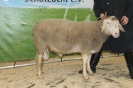 Kat66: DE 0109 9 669 0821 BS, geb. 06.09.2014, W8/B8/AE7, Gewicht 133 kg