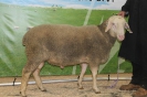 Kat71: DE 0109 9 199 0430 KR, geb. 03.10.2014, W8/B8/AE7, Gewicht 127 kg