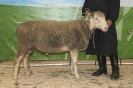 Kat90: DE 0109 9 669 0828 BS, geb. 21.12.2015, W8/B8/AE7, Gewicht 110 kg
