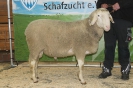Kat29: DE 0109 9 678 0867 SI, geb. 08.04.2014, W7/B9/AE8, Gewicht 158 kg