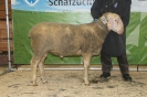 Kat101-int.Res.: DE 0109 9 176 0684 S, geb. 07.01.2015, W8/B8/AE8, Gewicht 116 kg