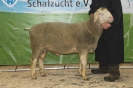 Kat39: DE 0109 9 648 0937 FR, geb. 16.05.2014, W8/B8/AE7, Gewicht 142 kg