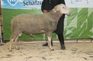 Kat25-int.Res.: DE 0109 9 572 0625 T, geb. 01.04.2015, W9/B7/AE7, Gewicht 143 kg
