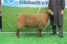 Kat 208: DE 0109 9 621 131 H