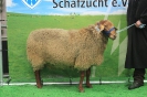 Kat 205: DE 0109 9 621 0125 H