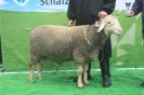 Kat 94: DE 0109 9 199 0372 KR