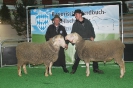 Sieger Altersklasse 4 - Sieger Altersklasse 3