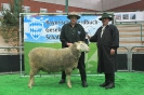 CHAMPION DETTELBACH 2015