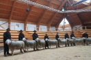 Altersklasse 1