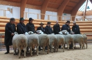 Altersklasse 1